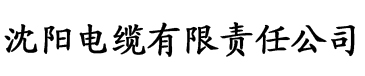 一级理论片免费观看电缆厂logo